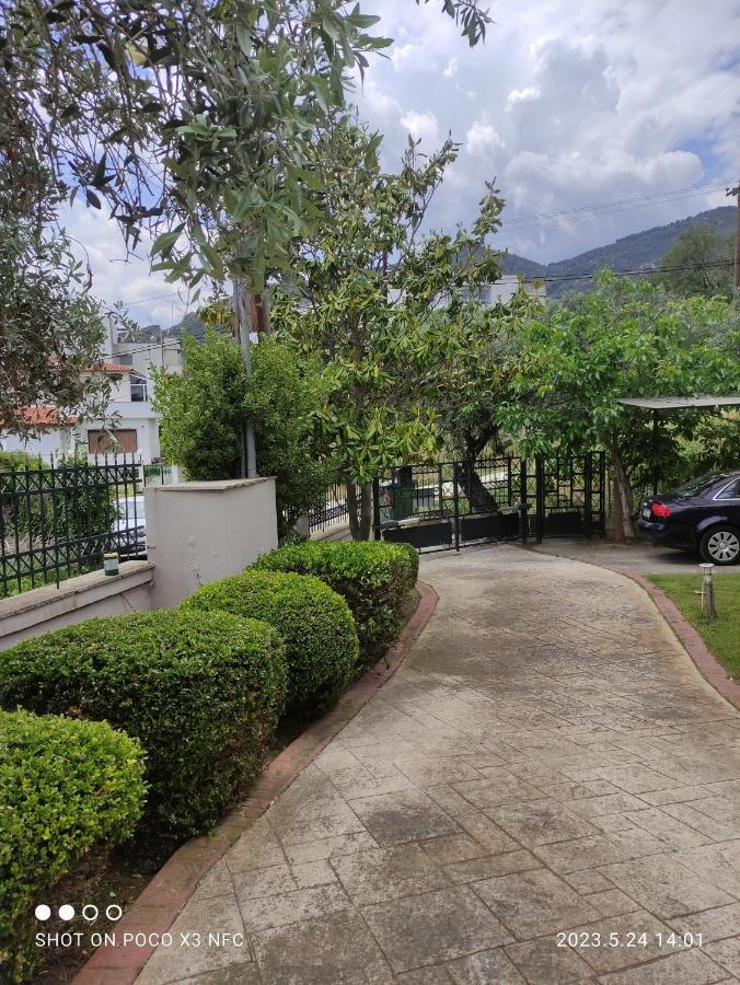 Garden House Villa PalaiónTsiflíkion Екстериор снимка