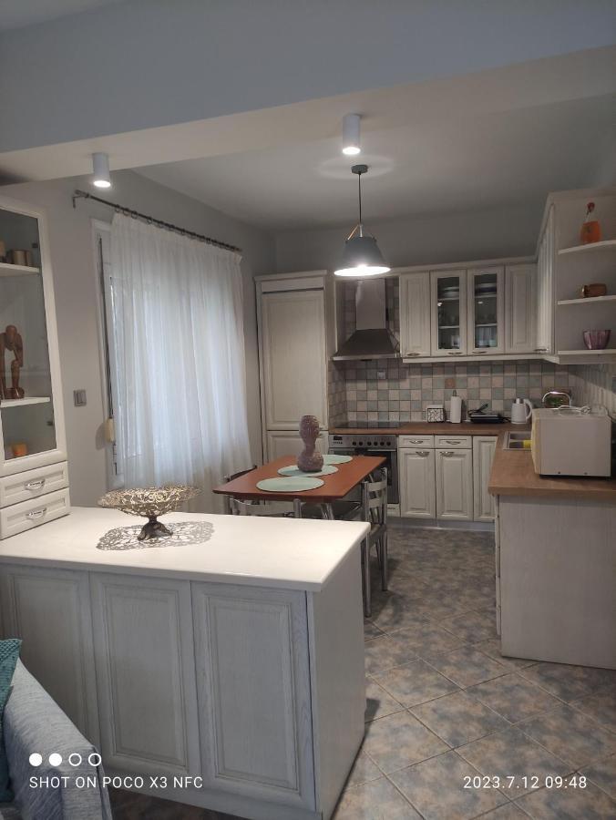 Garden House Villa PalaiónTsiflíkion Екстериор снимка